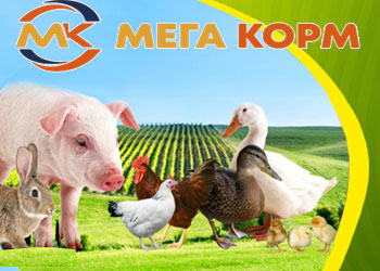 Який комбікорм краще вибрати
